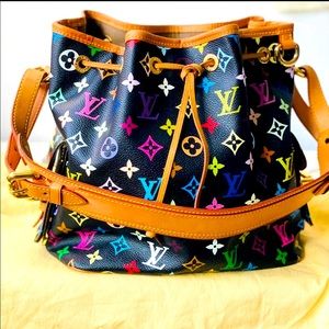 Louis Vuitton multicolor petite noe